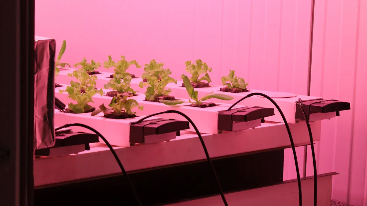 Ar vertikaliai augantys žibintai gali padėti jūsų augalams geriau augti